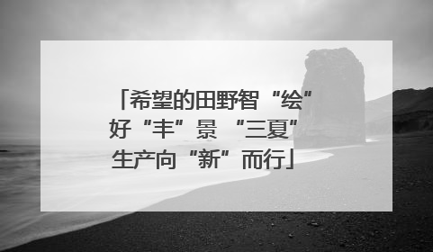 希望的田野智“绘”好“丰”景 “三夏”生产向“新”而行