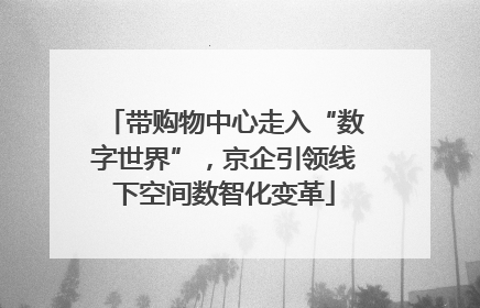 带购物中心走入“数字世界”，京企引领线下空间数智化变革