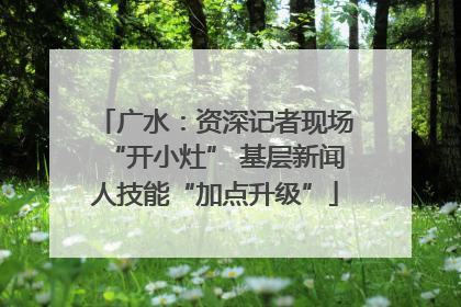 广水：资深记者现场“开小灶” 基层新闻人技能“加点升级”