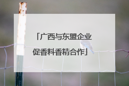 广西与东盟企业促香料香精合作