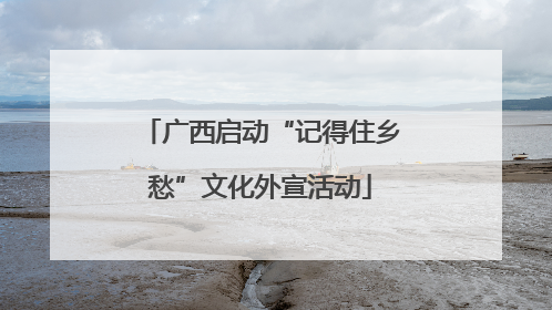 广西启动“记得住乡愁”文化外宣活动