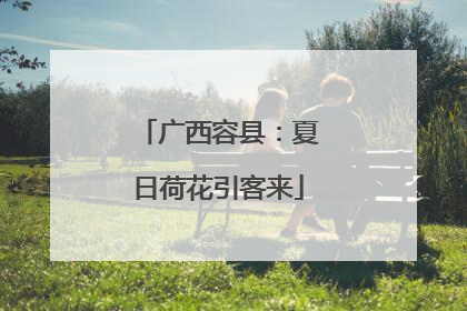 广西容县：夏日荷花引客来
