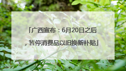 广西宣布：6月20日之后，暂停消费品以旧换新补贴