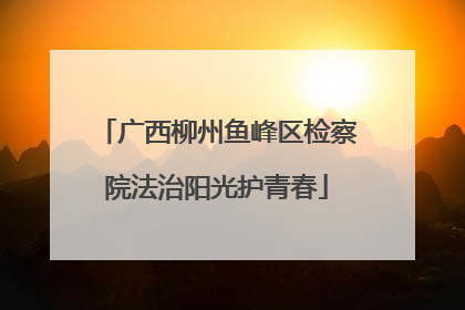 广西柳州鱼峰区检察院法治阳光护青春
