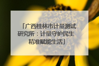 广西桂林市计量测试研究所：计量守护民生 精准赋能生活