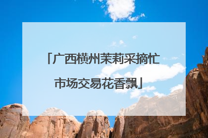 广西横州茉莉采摘忙 市场交易花香飘