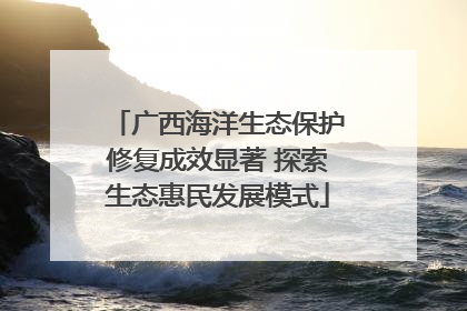 广西海洋生态保护修复成效显著 探索生态惠民发展模式