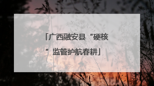 广西融安县“硬核”监管护航春耕