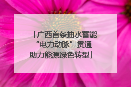 广西首条抽水蓄能“电力动脉”贯通 助力能源绿色转型