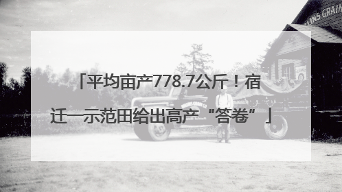 平均亩产778.7公斤！宿迁一示范田给出高产“答卷”