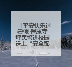 平安快乐过暑假 保康寺坪民警进校园送上“安全锦囊”