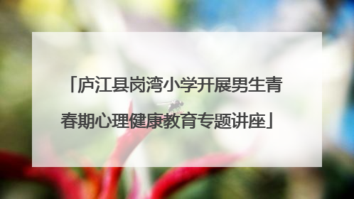 庐江县岗湾小学开展男生青春期心理健康教育专题讲座