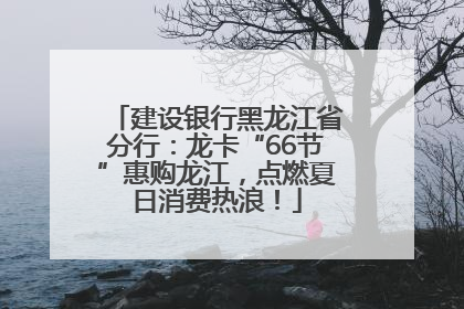 建设银行黑龙江省分行：龙卡“66节”惠购龙江，点燃夏日消费热浪！