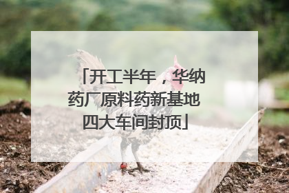 开工半年，华纳药厂原料药新基地四大车间封顶