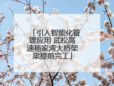 引入智能化管理应用 武松高速杨家湾大桥架梁提前完工