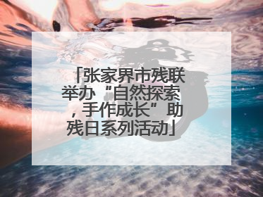张家界市残联举办“自然探索，手作成长”助残日系列活动