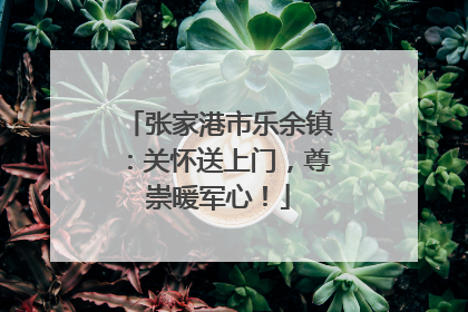 张家港市乐余镇：关怀送上门，尊崇暖军心！