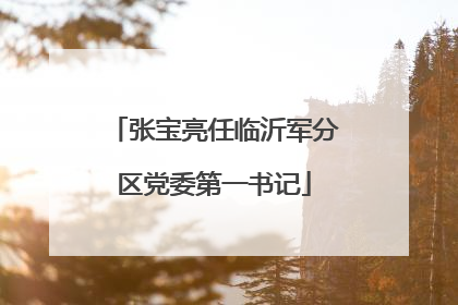 张宝亮任临沂军分区党委第一书记