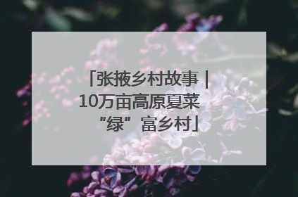 张掖乡村故事｜10万亩高原夏菜“绿”富乡村