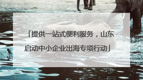 提供一站式便利服务，山东启动中小企业出海专项行动