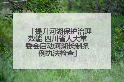 提升河湖保护治理效能 四川省人大常委会启动河湖长制条例执法检查