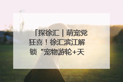 探徐汇｜萌宠党狂喜！徐汇滨江解锁“宠物游轮+天台乐园”双玩法
