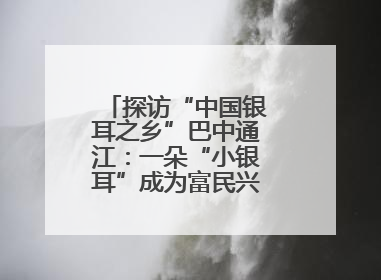 探访“中国银耳之乡”巴中通江：一朵“小银耳”成为富民兴县“大产业”
