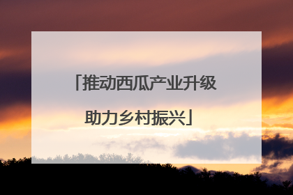 推动西瓜产业升级 助力乡村振兴