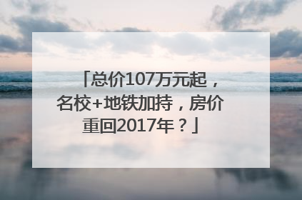 总价107万元起，名校+地铁加持，房价重回2017年？