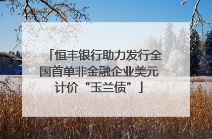 恒丰银行助力发行全国首单非金融企业美元计价“玉兰债”