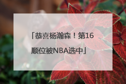恭喜杨瀚森！第16顺位被NBA选中