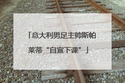 意大利男足主帅斯帕莱蒂“自宣下课”