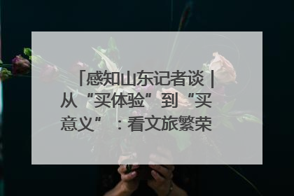 感知山东记者谈｜从“买体验”到“买意义”：看文旅繁荣背后的幸福新定义