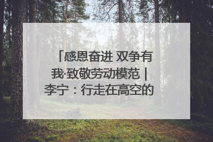 感恩奋进 双争有我·致敬劳动模范｜李宁：行走在高空的“电网卫士”