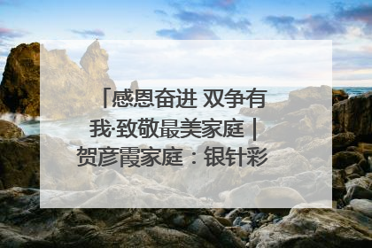 感恩奋进 双争有我·致敬最美家庭｜贺彦霞家庭：银针彩线绣出好日子