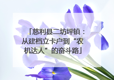 慈利县二坊坪镇：从建档立卡户到“农机达人”的奋斗路