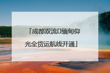 成都双流⇌缅甸仰光全货运航线开通