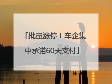 批量涨停！车企集中承诺60天支付