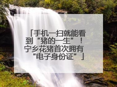 手机一扫就能看到“猪的一生”！宁乡花猪首次拥有“电子身份证”