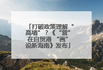 打破政策理解“高墙”？《“营”在自贸港 “画”说新海南》发布