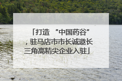 打造 “中国药谷”，驻马店市市长诚邀长三角高精尖企业入驻
