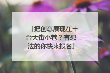 把创意展现在丰台大街小巷？有想法的你快来报名