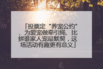 投票定“养宠公约”、为爱宠做牵引绳、比拼谁家人宠最默契，这场活动有趣更有意义