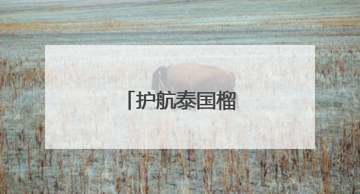 护航泰国榴莲快速通关