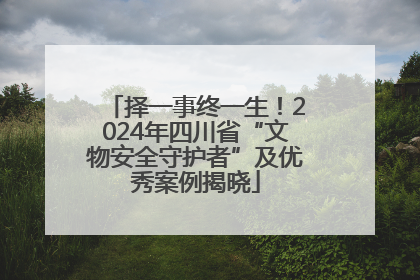 择一事终一生！2024年四川省“文物安全守护者”及优秀案例揭晓