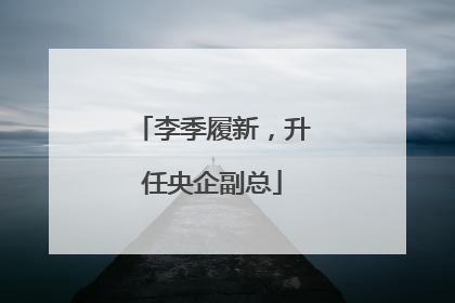 李季履新，升任央企副总