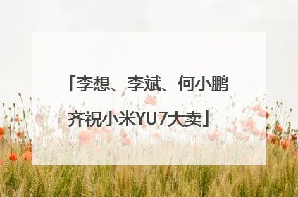 李想、李斌、何小鹏齐祝小米YU7大卖