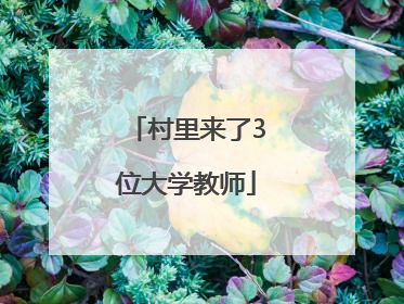 村里来了3位大学教师