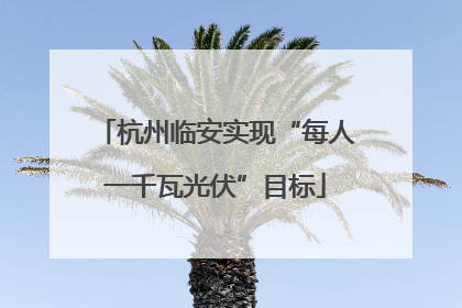杭州临安实现“每人一千瓦光伏”目标