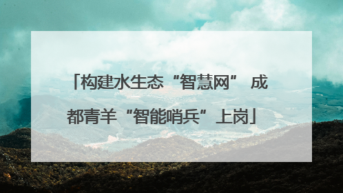 构建水生态“智慧网” 成都青羊“智能哨兵”上岗